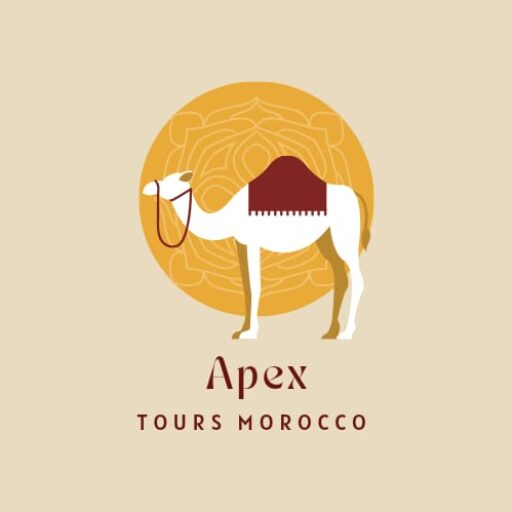 apextoursmorocco.com